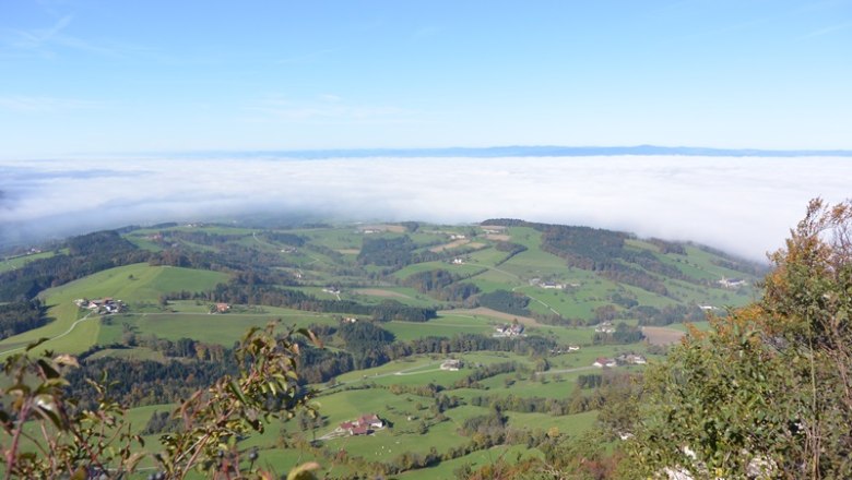Panoramablick von der Urlingerwarte, © Stadtgemeinde Scheibbs